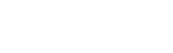 Geschichte der Integration